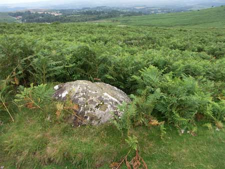 Dartmoor Sommer 2005