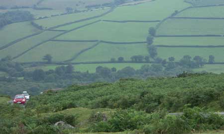 Dartmoor bei Regen. Die Weidenauteilung ist gut zu erkennen.